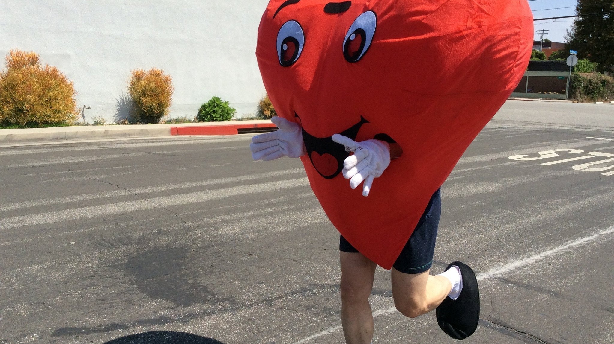 Coeur Sports Mascott