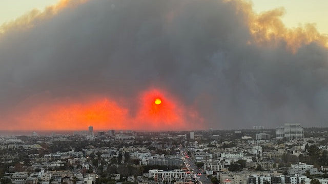 Dispatch from the Fires