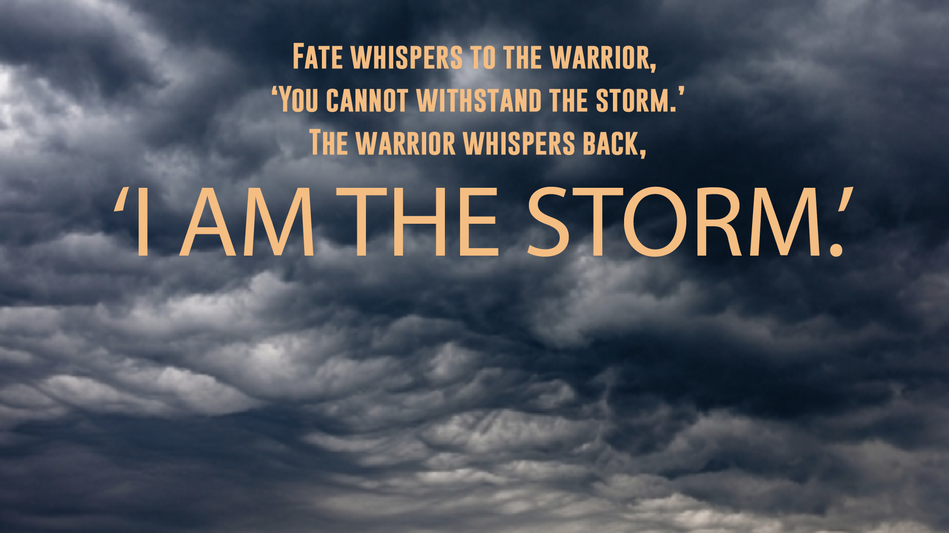 I am the storm image