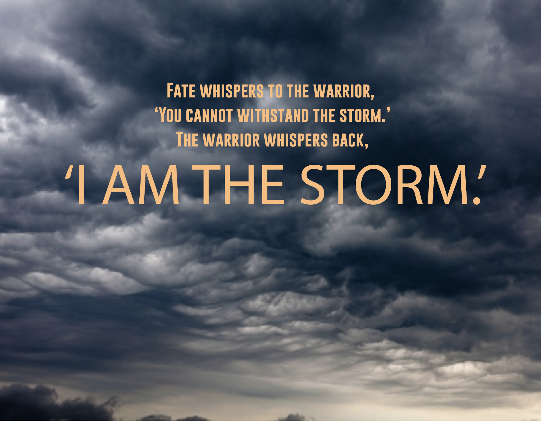 I am the storm image