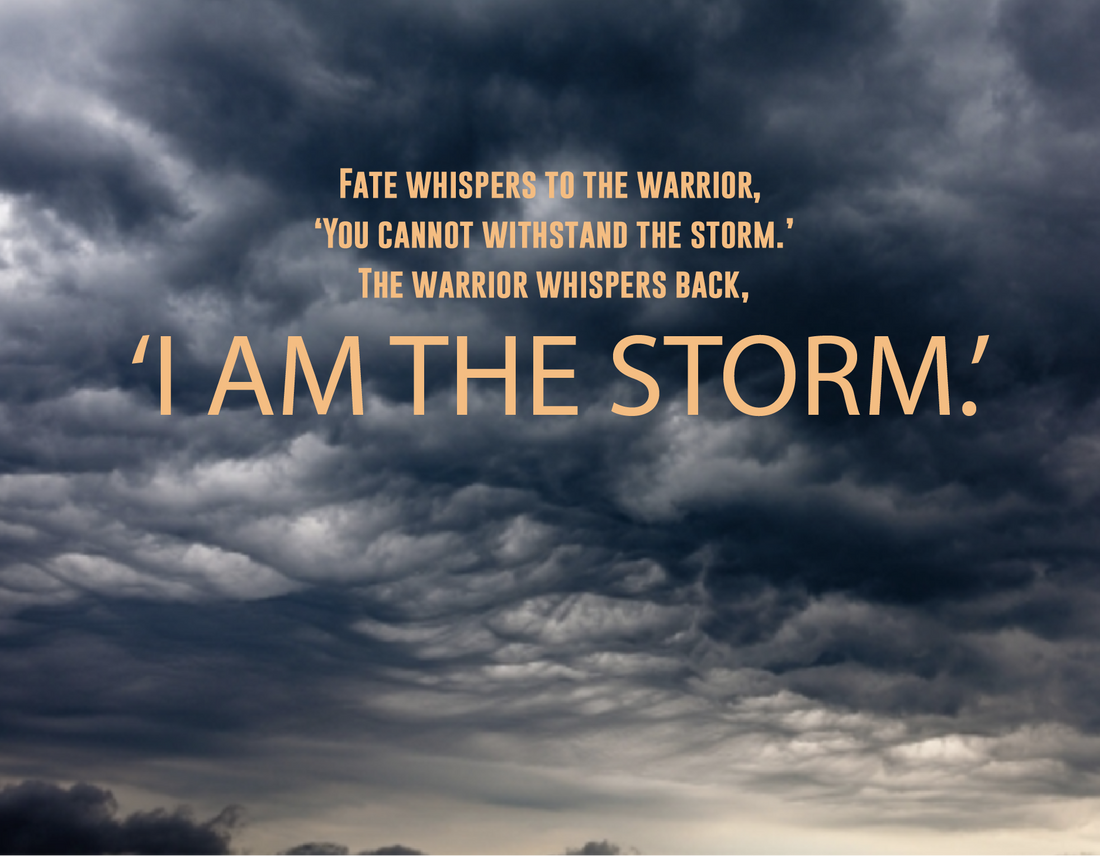 I am the storm image