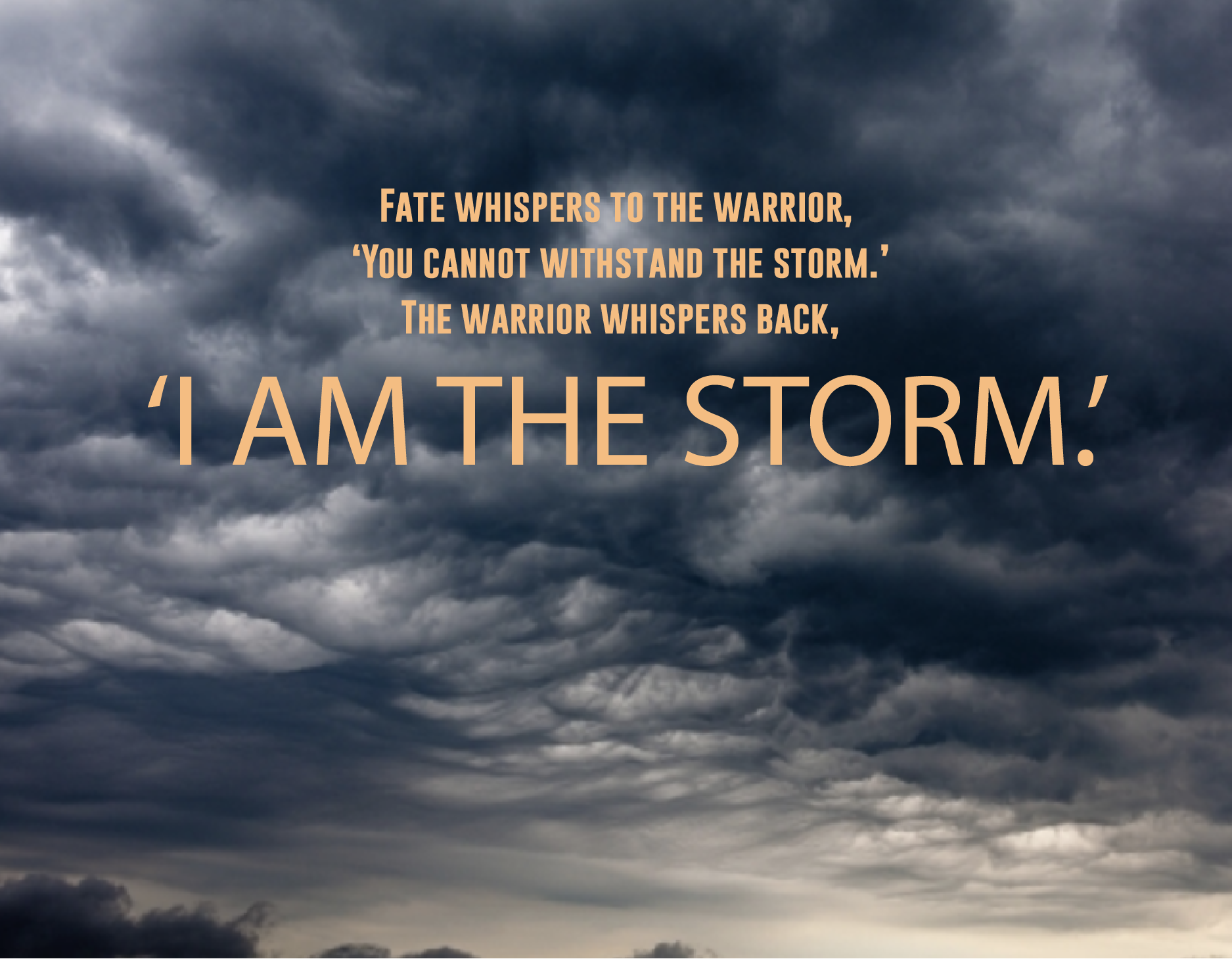 I Am the Storm  The Grief Warrior Project