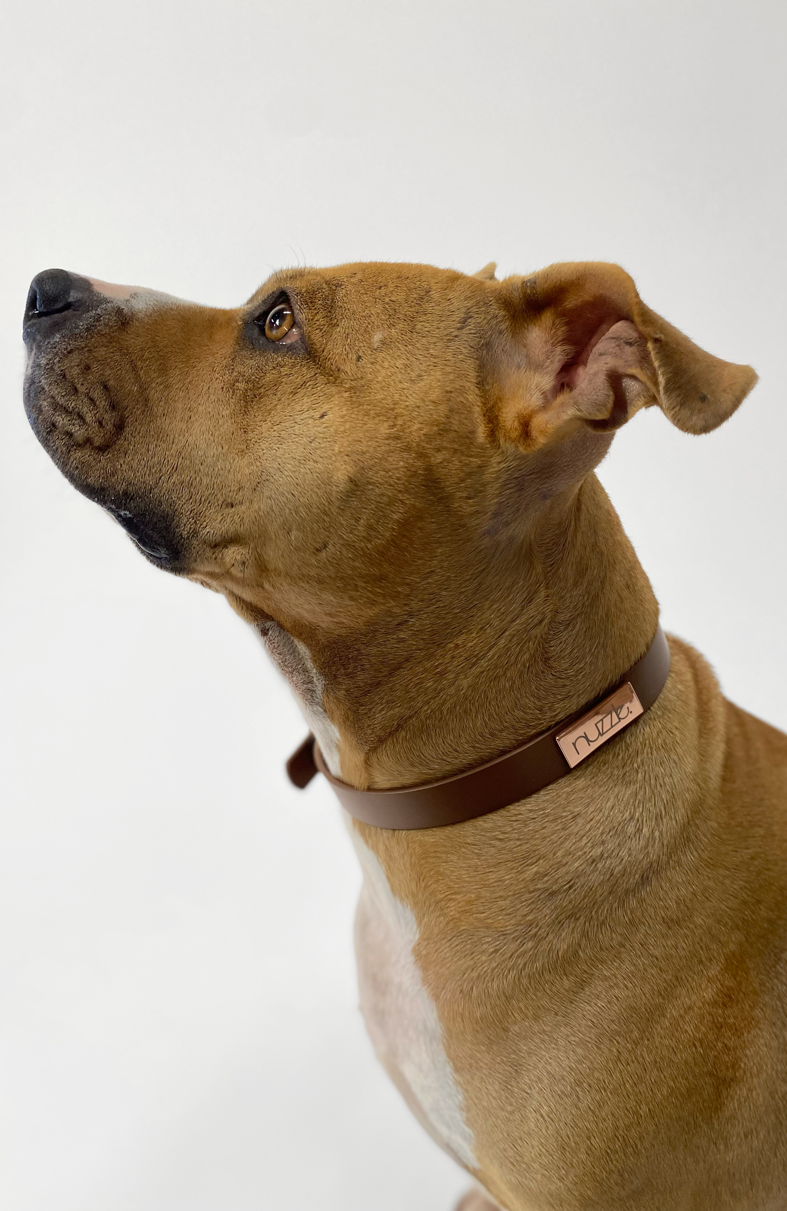 Nuzzle collar hot sale